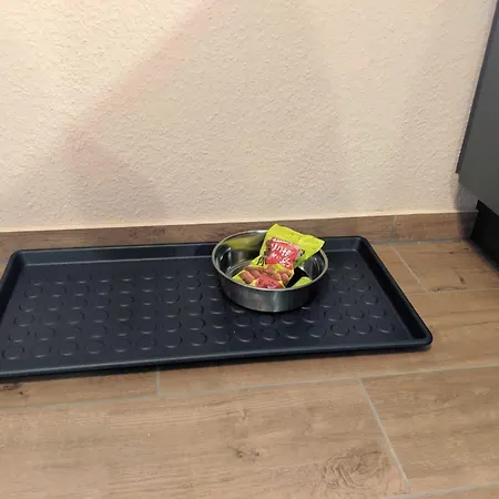 Nordseelig Ferienhaeuser 6 Pers 2018 Saniert Hunde Erlaubt Nw Tatil Evi Friedrichskoog