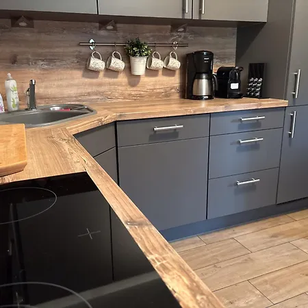 Tatil Evi Nordseelig Ferienhaeuser 6 Pers Hunde Erlaubt Nw Friedrichskoog
