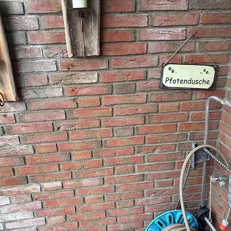 Tatil Evi Nordseelig Ferienhaeuser 6 Pers Hunde Erlaubt Nw