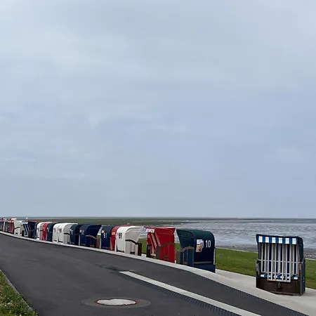 Nordseelig Ferienhaeuser 6 Pers Hunde Erlaubt Nw 別荘 *